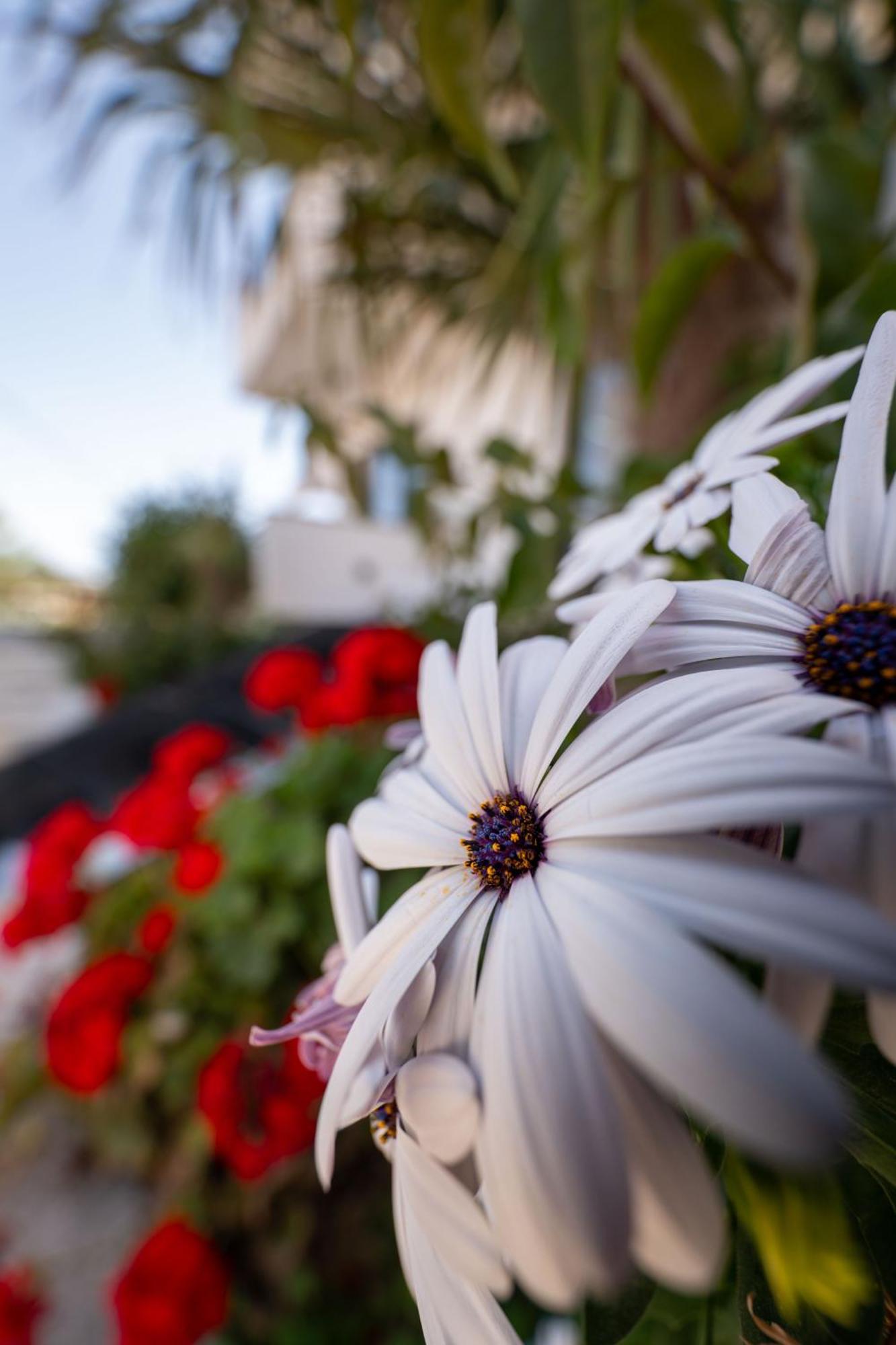 Guesthouse Siars Εξαμίλιο Εξωτερικό φωτογραφία